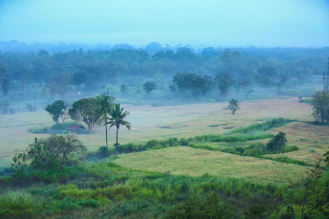 Kaveri Resort سيغيرِيا المظهر الخارجي الصورة